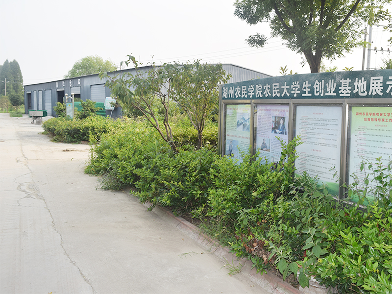 湖羊養(yǎng)殖基地